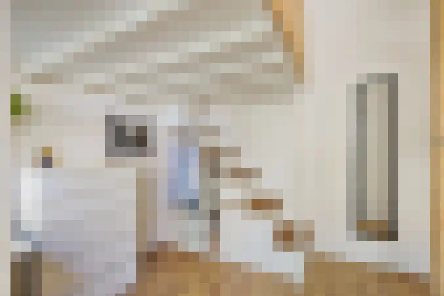 Adriaanstraat 41 Utrecht thumbnail 29