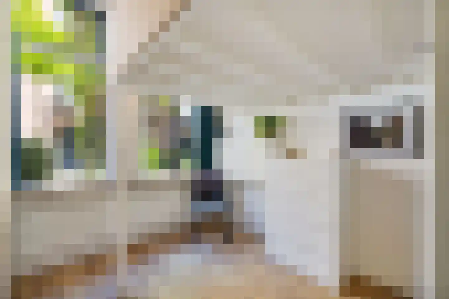 Adriaanstraat 41 Utrecht thumbnail 30