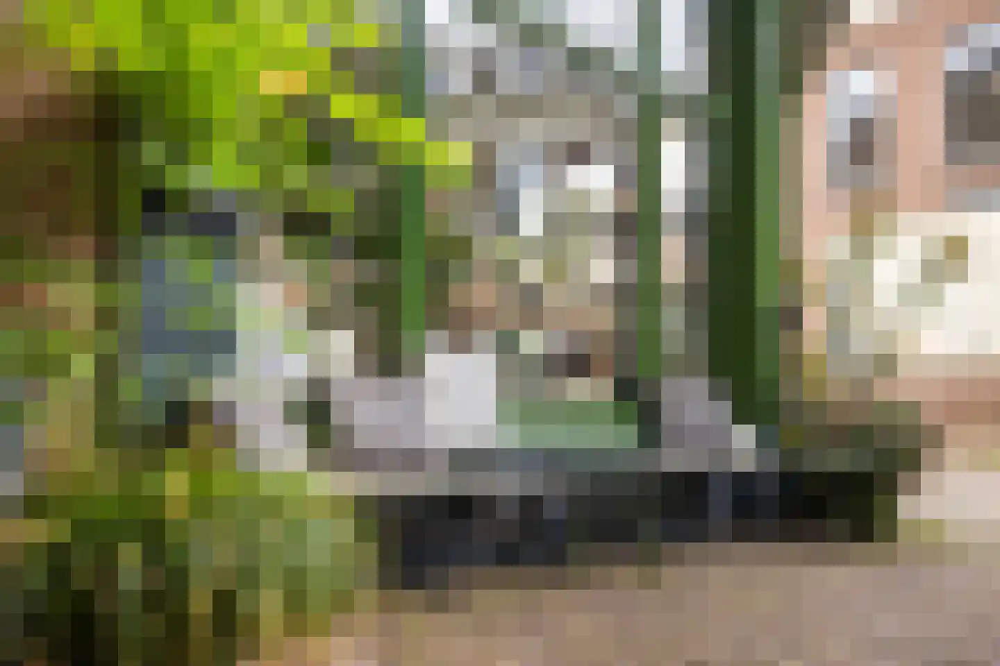 Adriaanstraat 41 Utrecht thumbnail 38