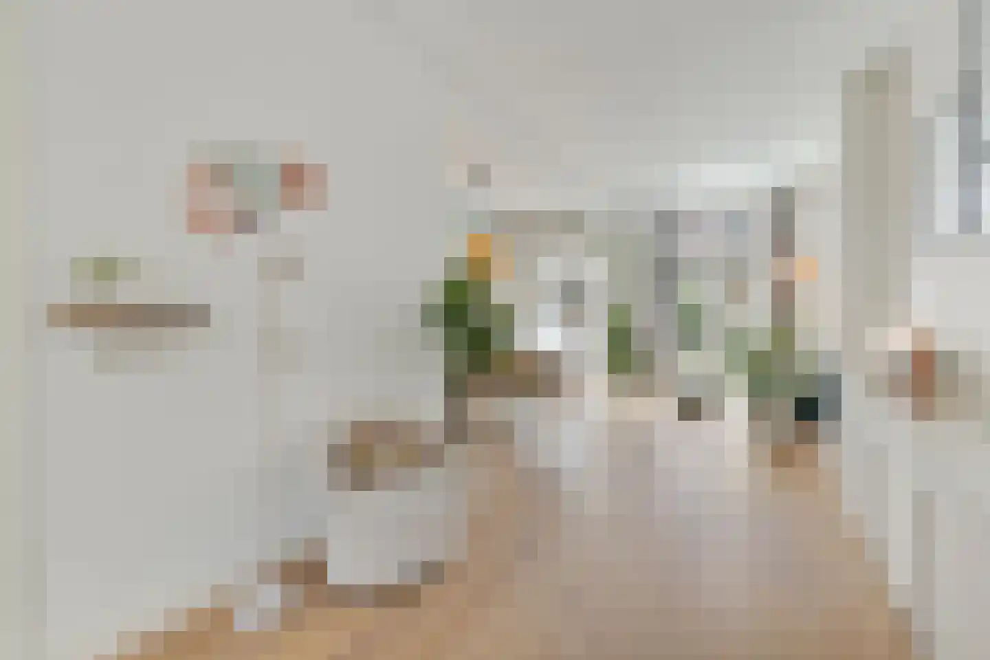 Adriaanstraat 49 Utrecht thumbnail 19
