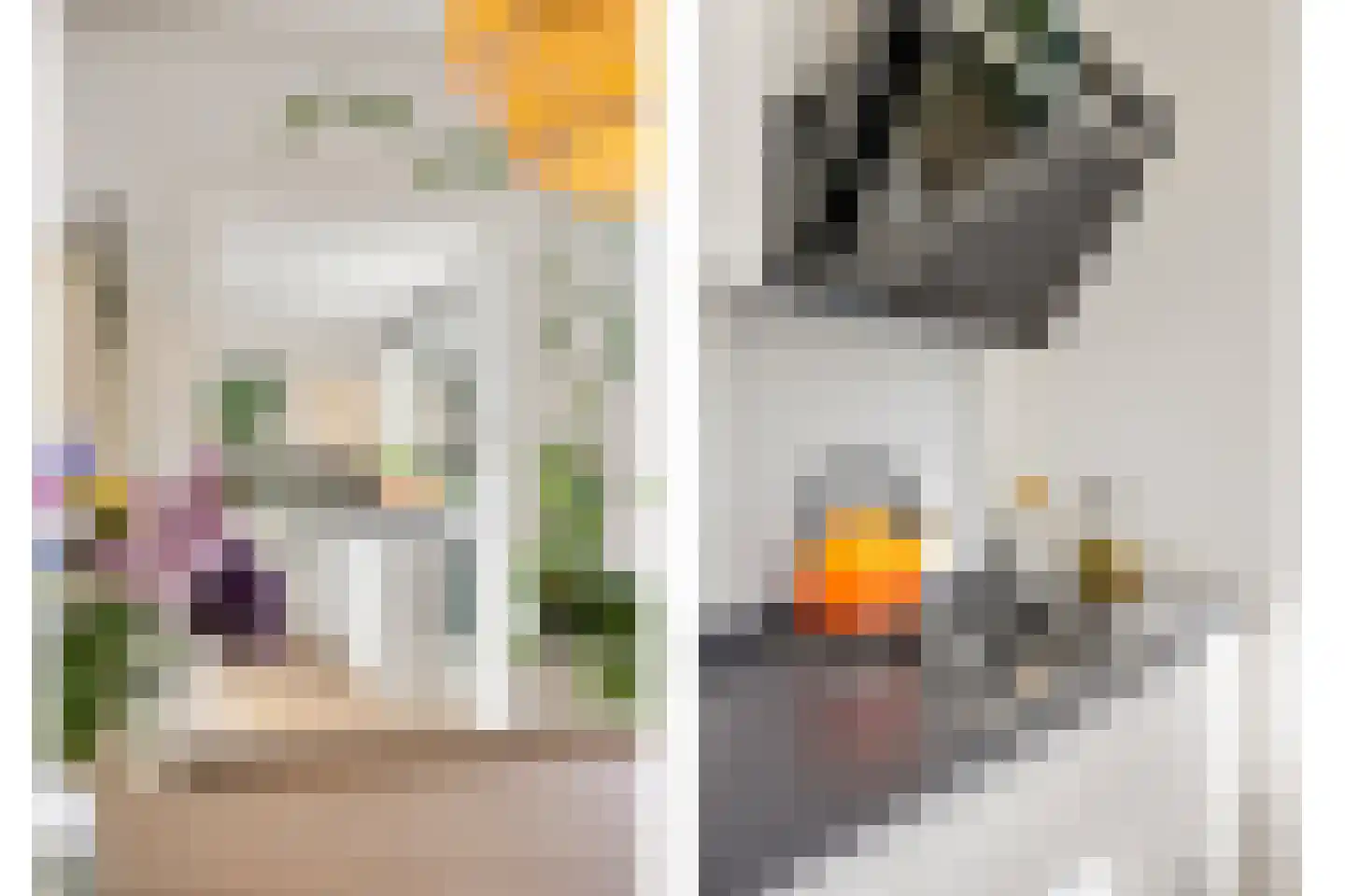Adriaanstraat 49 Utrecht thumbnail 25