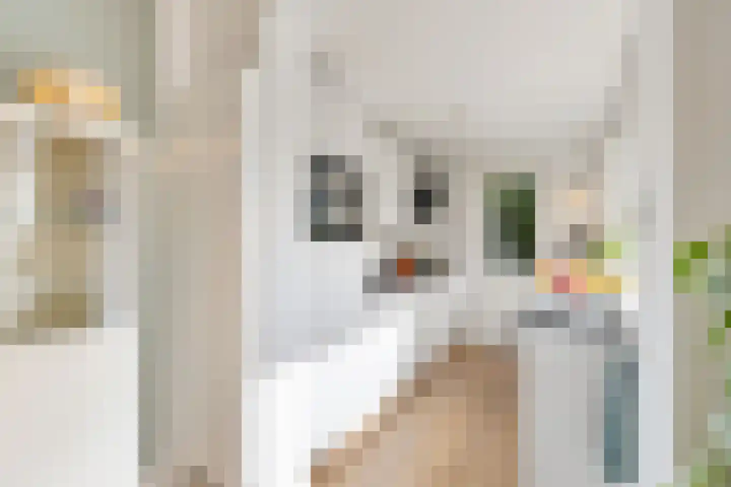 Adriaanstraat 49 Utrecht thumbnail 26
