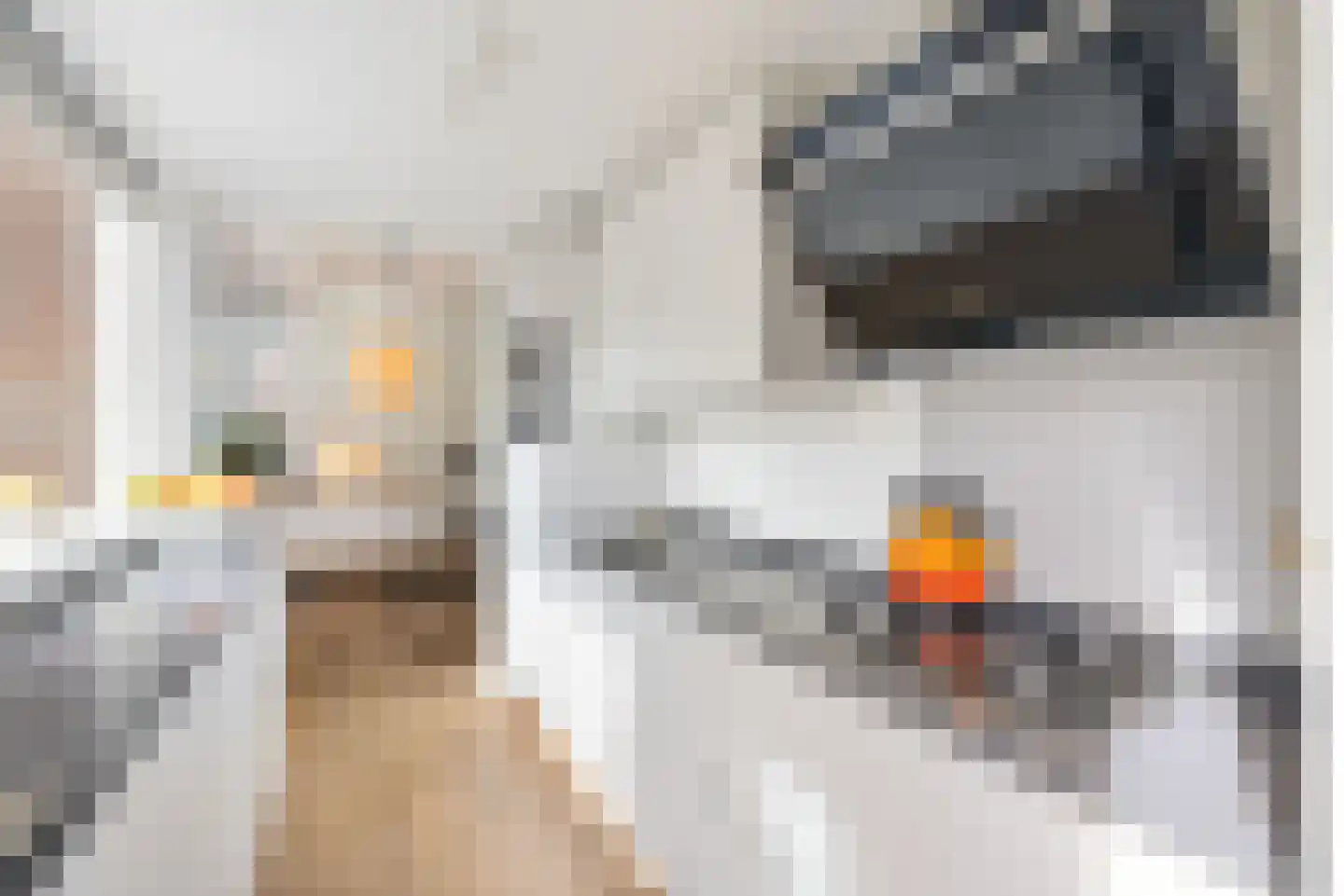 Adriaanstraat 49 Utrecht thumbnail 29