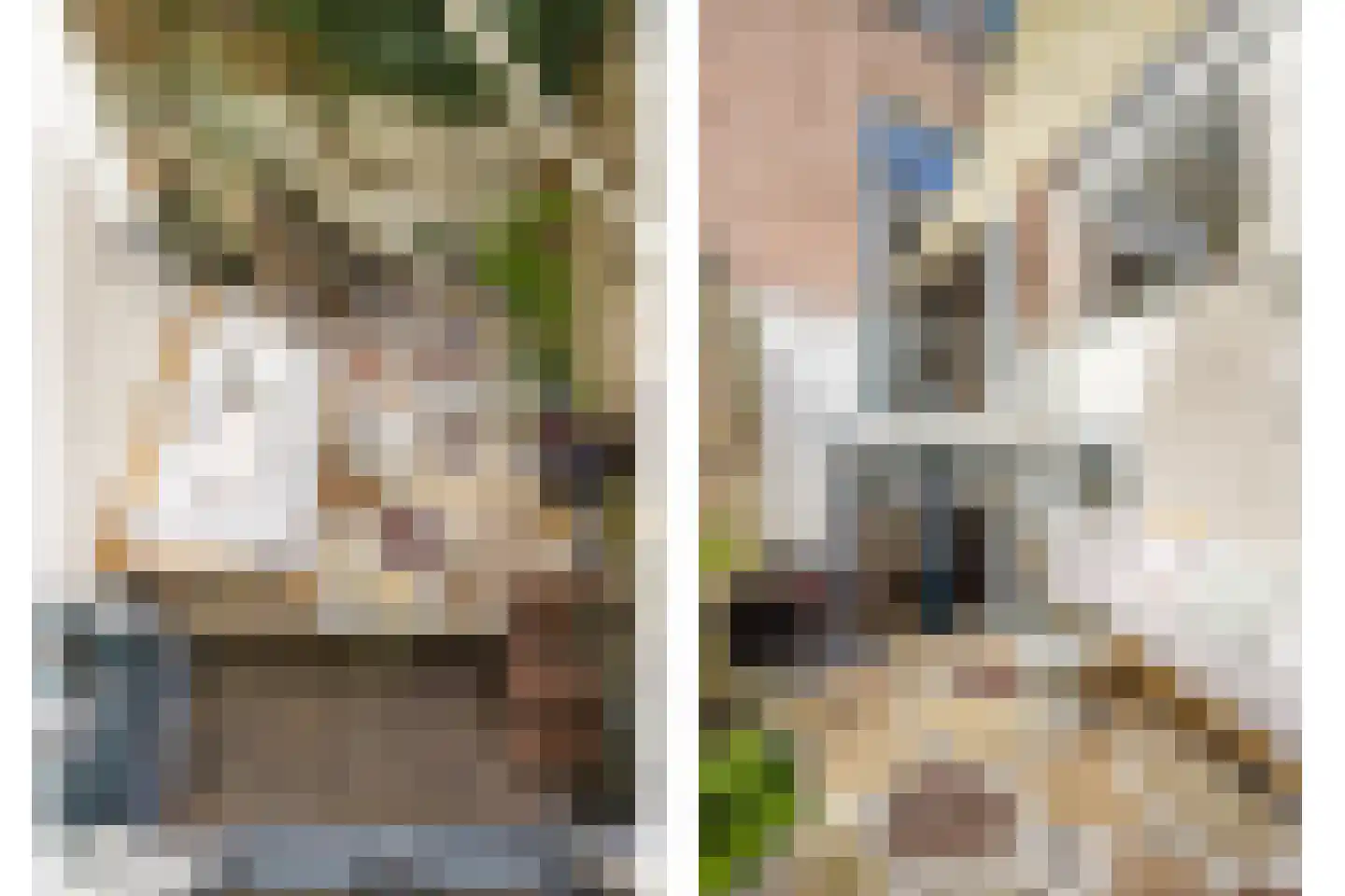 Adriaanstraat 49 Utrecht thumbnail 45