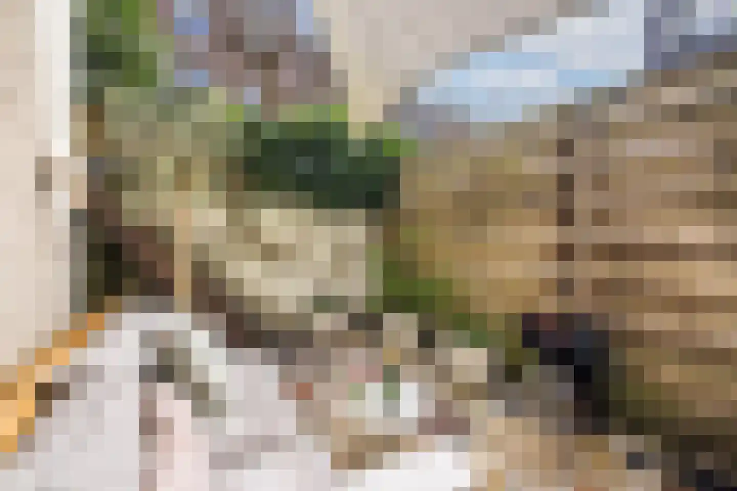 Adriaanstraat 49 Utrecht thumbnail 47