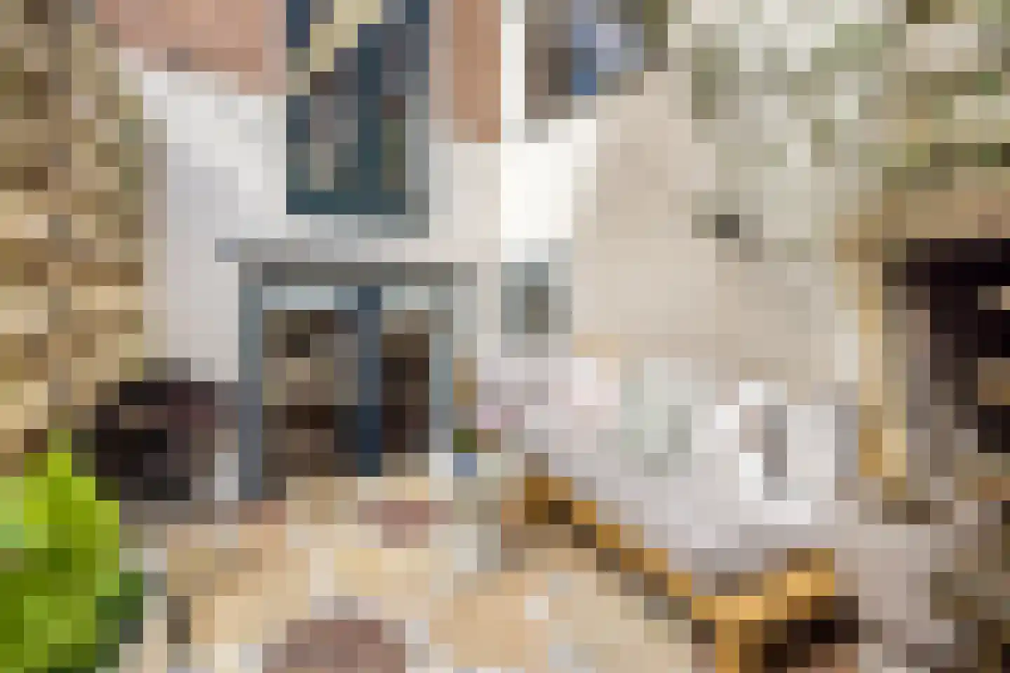 Adriaanstraat 49 Utrecht thumbnail 5