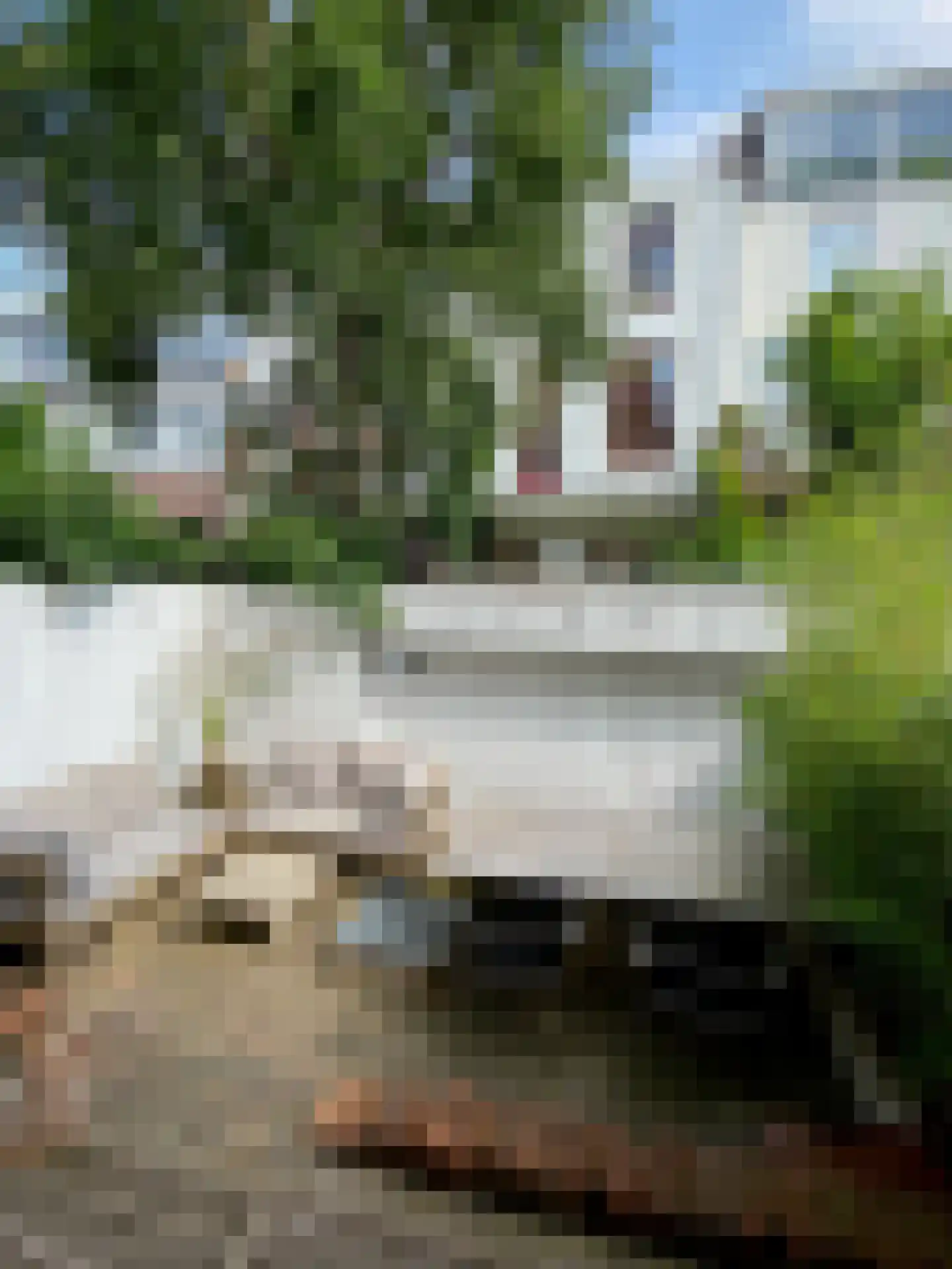 Adriaanstraat 9 Utrecht thumbnail 16