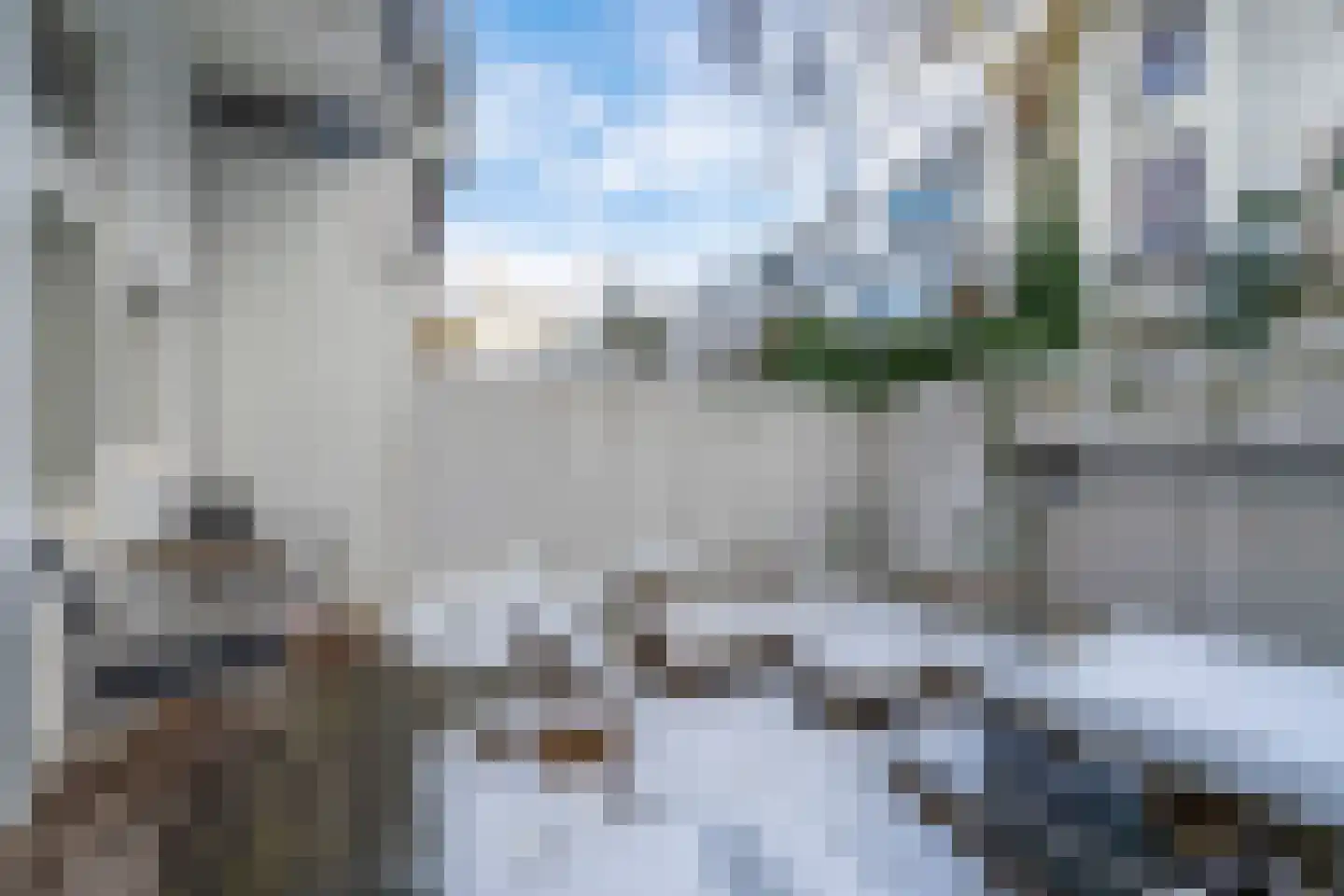 Adriaanstraat 9 Utrecht thumbnail 18