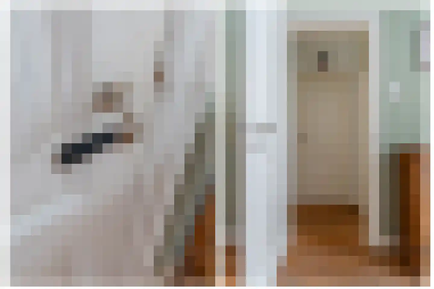 Adriaanstraat 9 Utrecht thumbnail 23