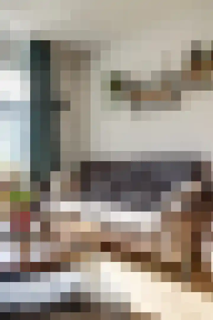 Adriaen Aertszoonstraat 1 Geertruidenberg thumbnail 12