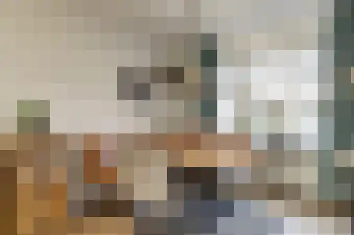 Adriaen Aertszoonstraat 1 Geertruidenberg thumbnail 15
