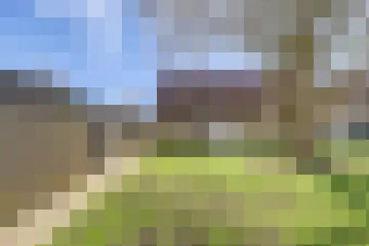Adriaen Aertszoonstraat 1 Geertruidenberg thumbnail 48