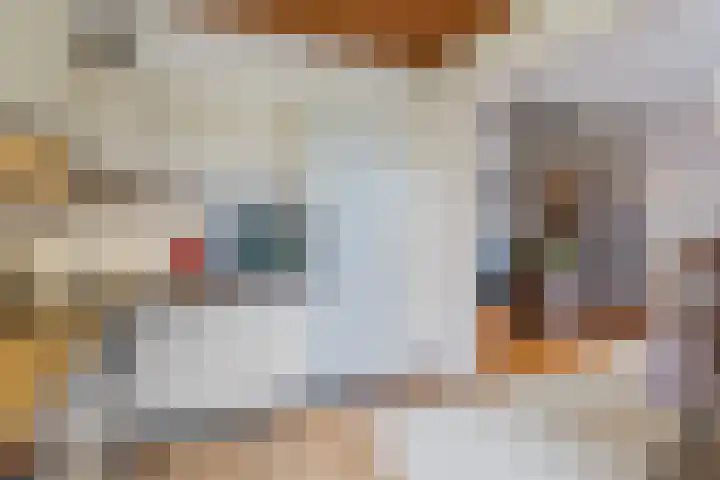 Adriaen Banckertstraat 1 Geldrop thumbnail 11