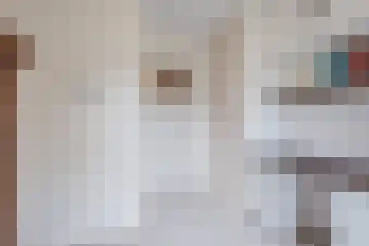Adriaen Banckertstraat 1 Geldrop thumbnail 19