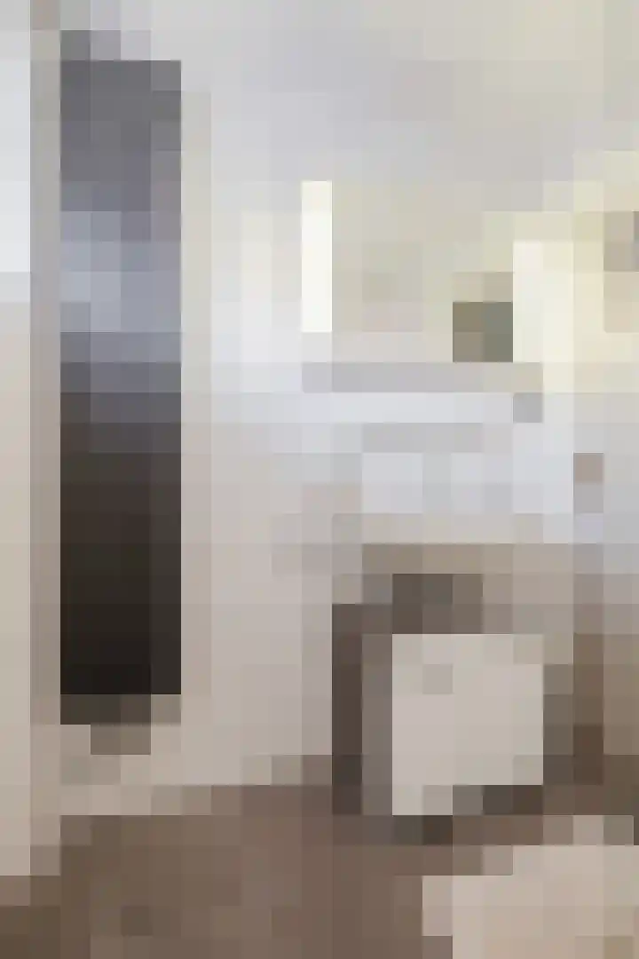 Adriaen Banckertstraat 1 Geldrop thumbnail 20