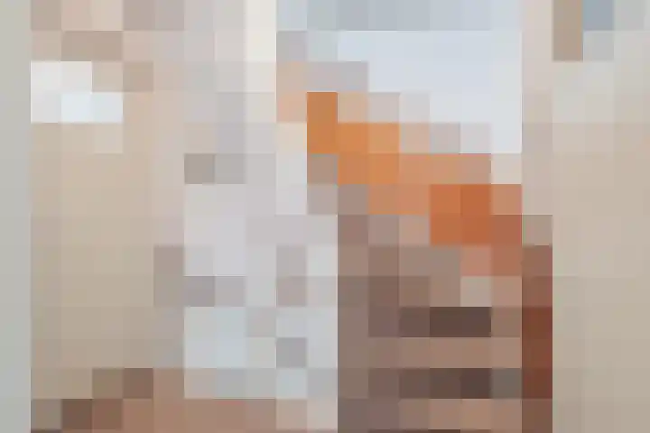 Adriaen Banckertstraat 1 Geldrop thumbnail 22