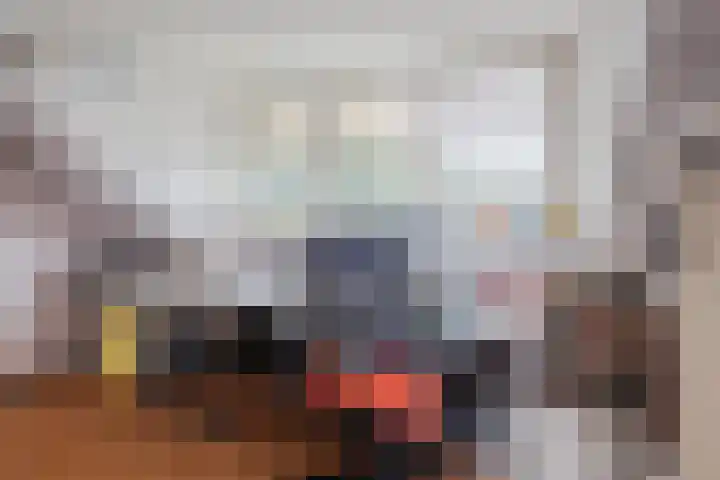 Adriaen Banckertstraat 1 Geldrop thumbnail 27