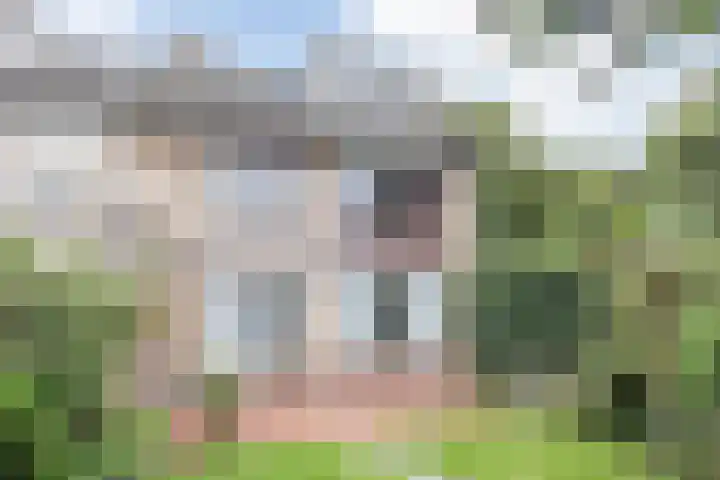 Adriaen Banckertstraat 1 Geldrop thumbnail 28
