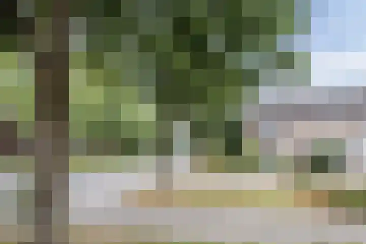 Adriaen Banckertstraat 1 Geldrop thumbnail 35