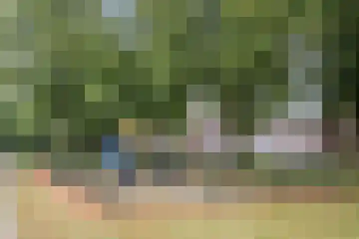 Adriaen Banckertstraat 1 Geldrop thumbnail 36