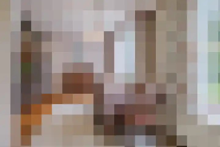 Adriaen Banckertstraat 1 Geldrop thumbnail 9
