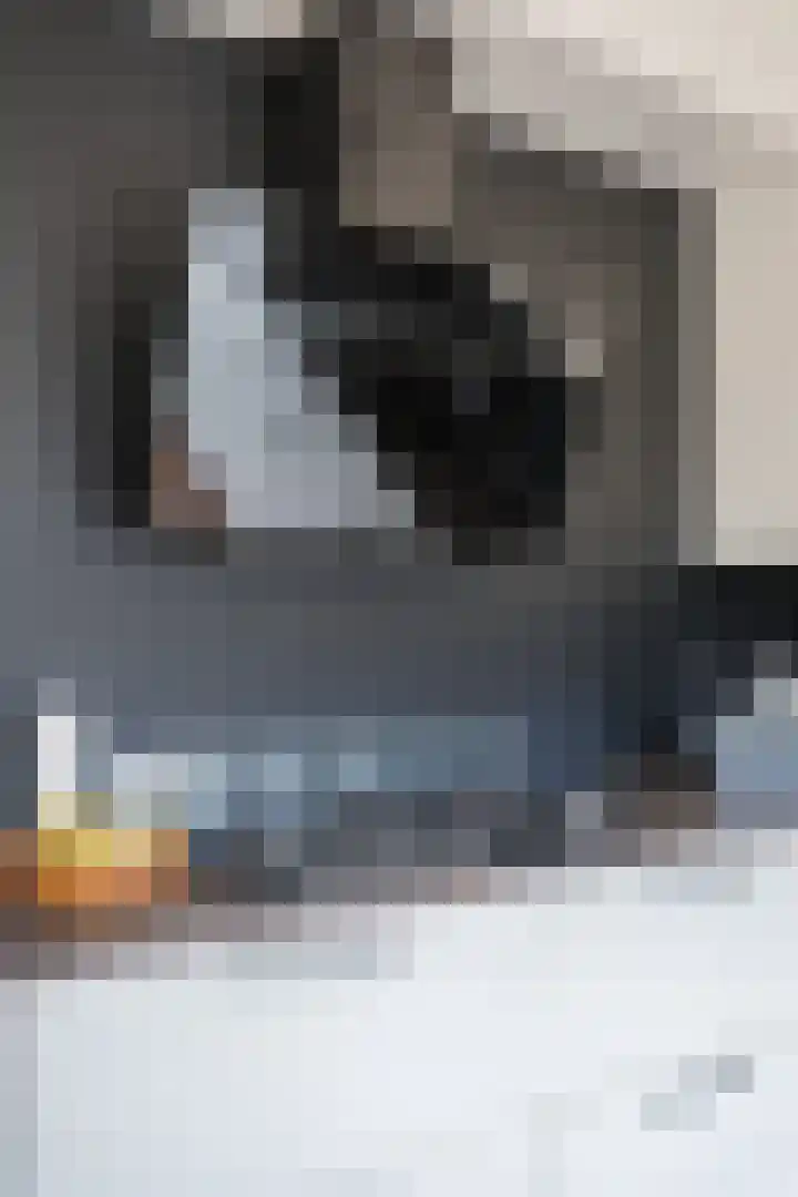 Adriaen Banckertstraat 22 Geldrop thumbnail 12