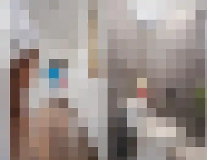 Adriaen Banckertstraat 22 Geldrop thumbnail 14