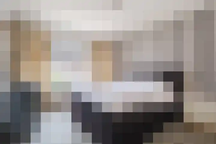 Adriaen Banckertstraat 22 Geldrop thumbnail 15