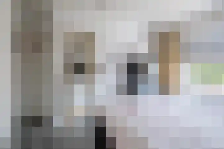 Adriaen Banckertstraat 22 Geldrop thumbnail 16