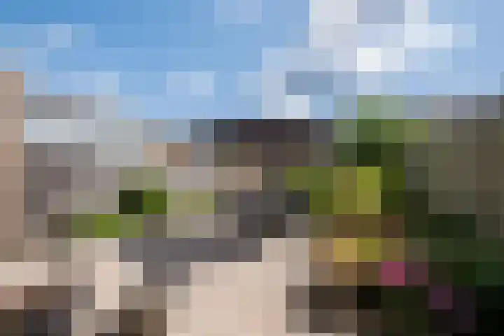 Adriaen Banckertstraat 22 Geldrop thumbnail 27