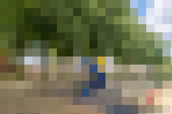 Adriaen Banckertstraat 22 Geldrop thumbnail 31