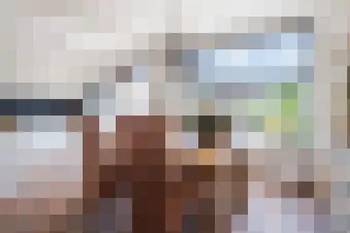 Adriaen Banckertstraat 22 Geldrop thumbnail 8
