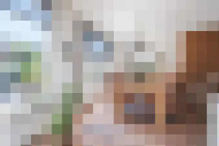 Adriaen Banckertstraat 22 Geldrop thumbnail 9