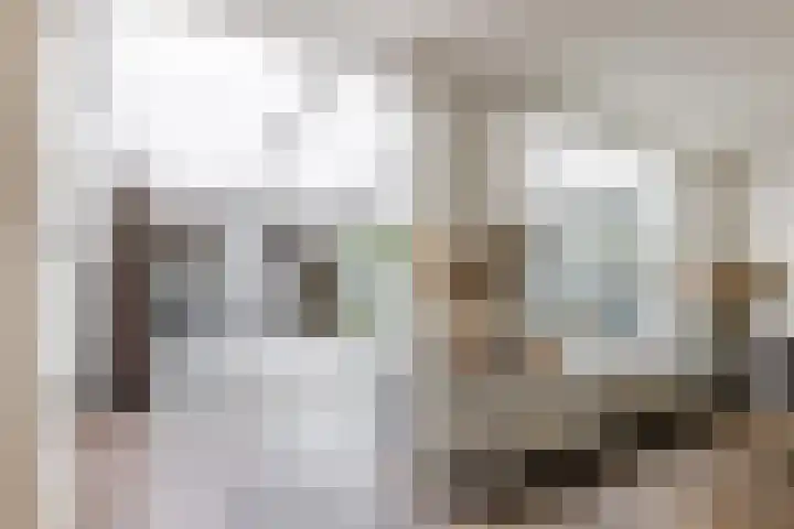 Adriaen Banckertstraat 3 Geldrop thumbnail 10