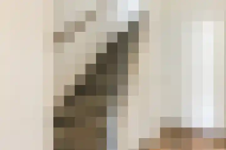 Adriaen Banckertstraat 3 Geldrop thumbnail 15