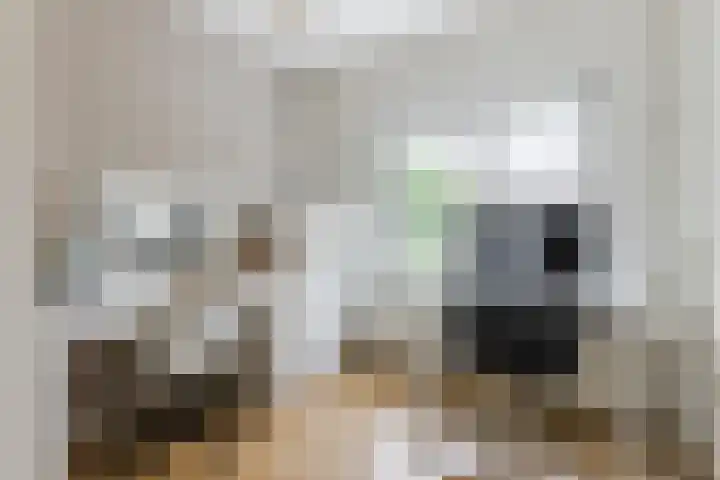 Adriaen Banckertstraat 3 Geldrop thumbnail 20