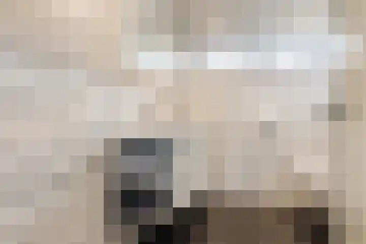 Adriaen Banckertstraat 3 Geldrop thumbnail 21