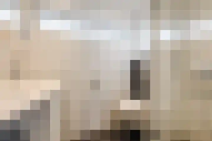 Adriaen Banckertstraat 3 Geldrop thumbnail 22