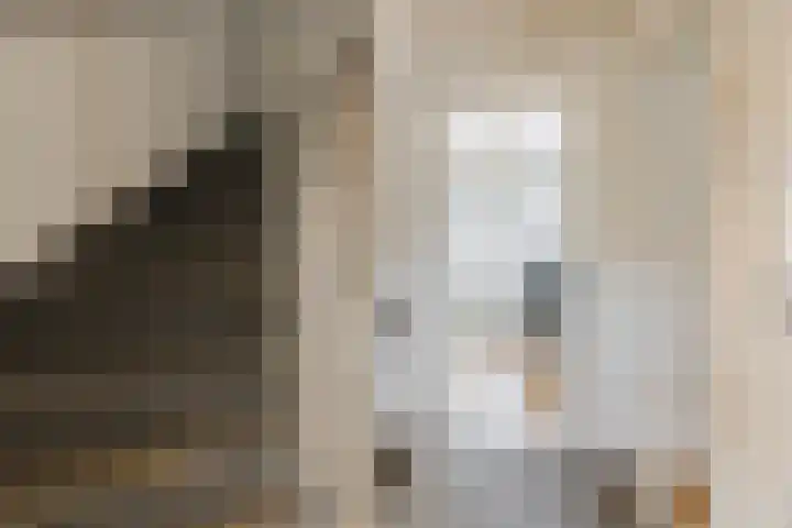 Adriaen Banckertstraat 3 Geldrop thumbnail 24