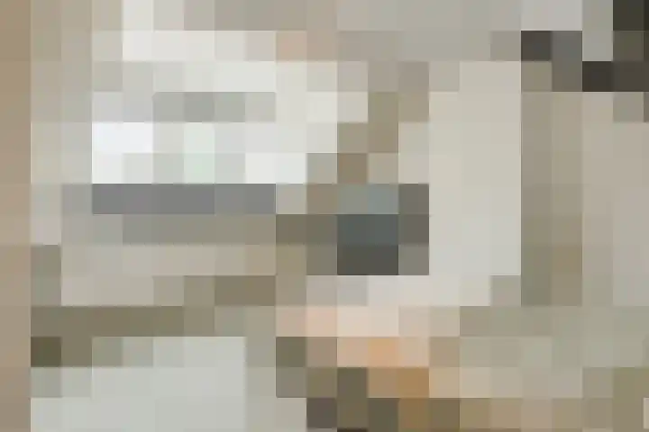 Adriaen Banckertstraat 3 Geldrop thumbnail 25