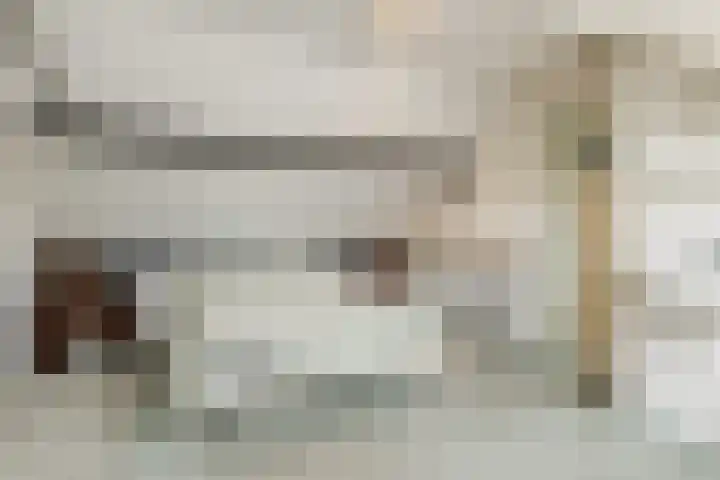 Adriaen Banckertstraat 3 Geldrop thumbnail 27