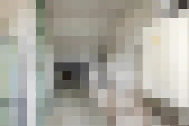 Adriaen Banckertstraat 3 Geldrop thumbnail 29