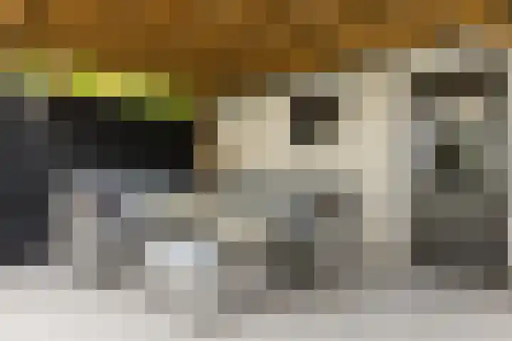 Adriaen Banckertstraat 3 Geldrop thumbnail 31