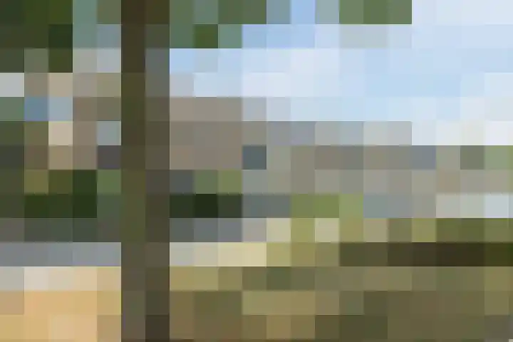 Adriaen Banckertstraat 3 Geldrop thumbnail 36