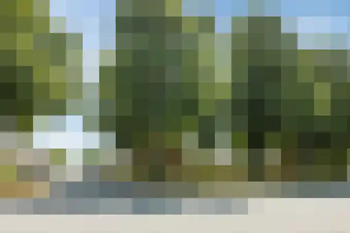 Adriaen Banckertstraat 3 Geldrop thumbnail 38