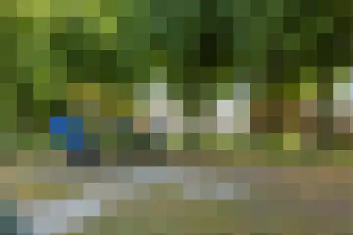 Adriaen Banckertstraat 3 Geldrop thumbnail 39