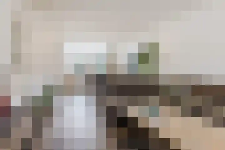 Adriaen Banckertstraat 3 Geldrop thumbnail 5