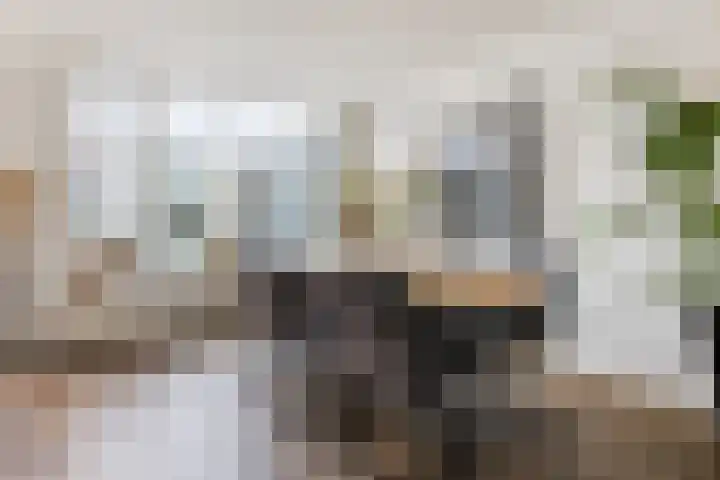 Adriaen Banckertstraat 3 Geldrop thumbnail 6