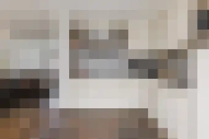 Adriaen Banckertstraat 3 Geldrop thumbnail 9