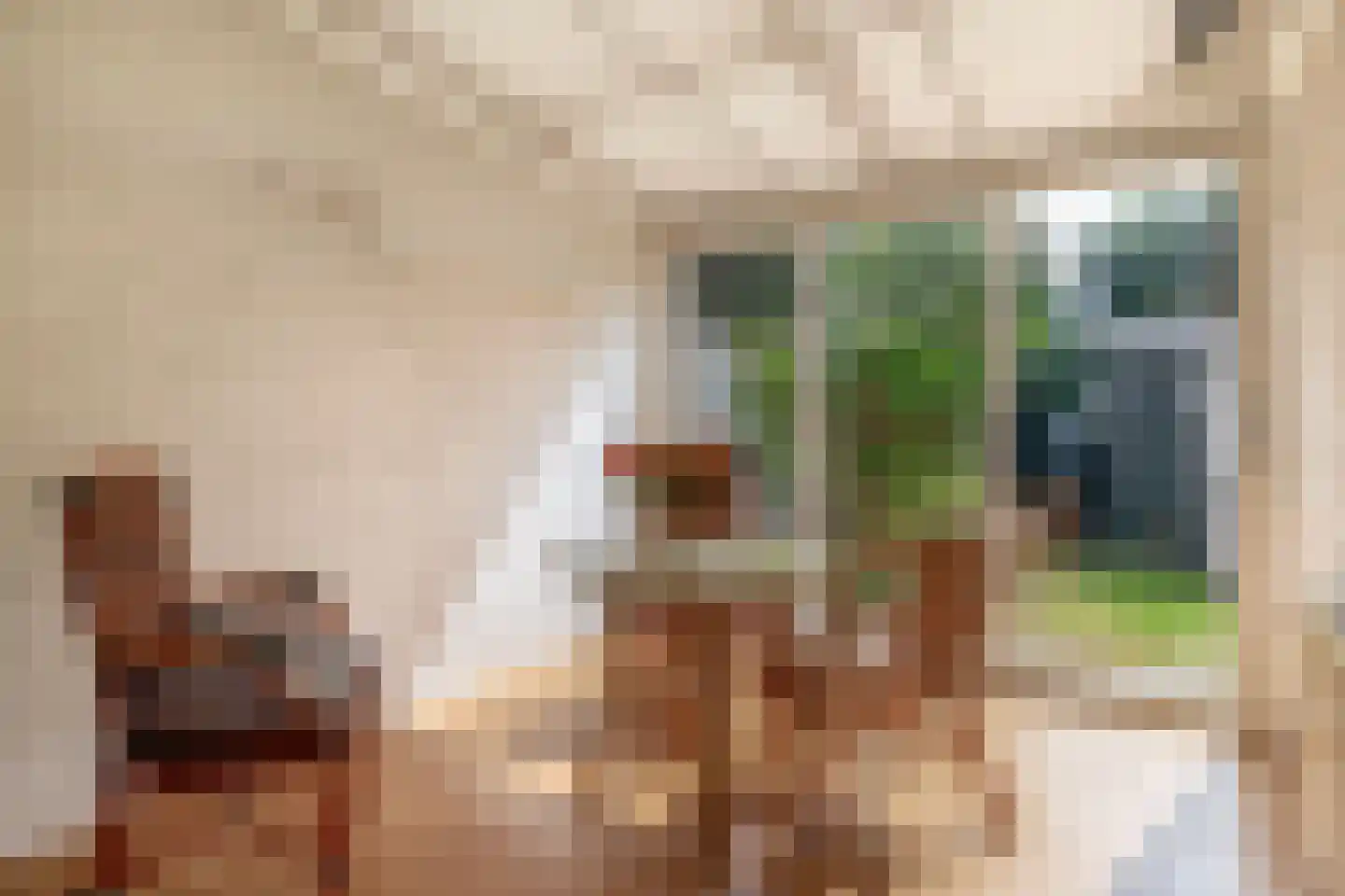 Adriaen Beyerkade 17 Utrecht thumbnail 15